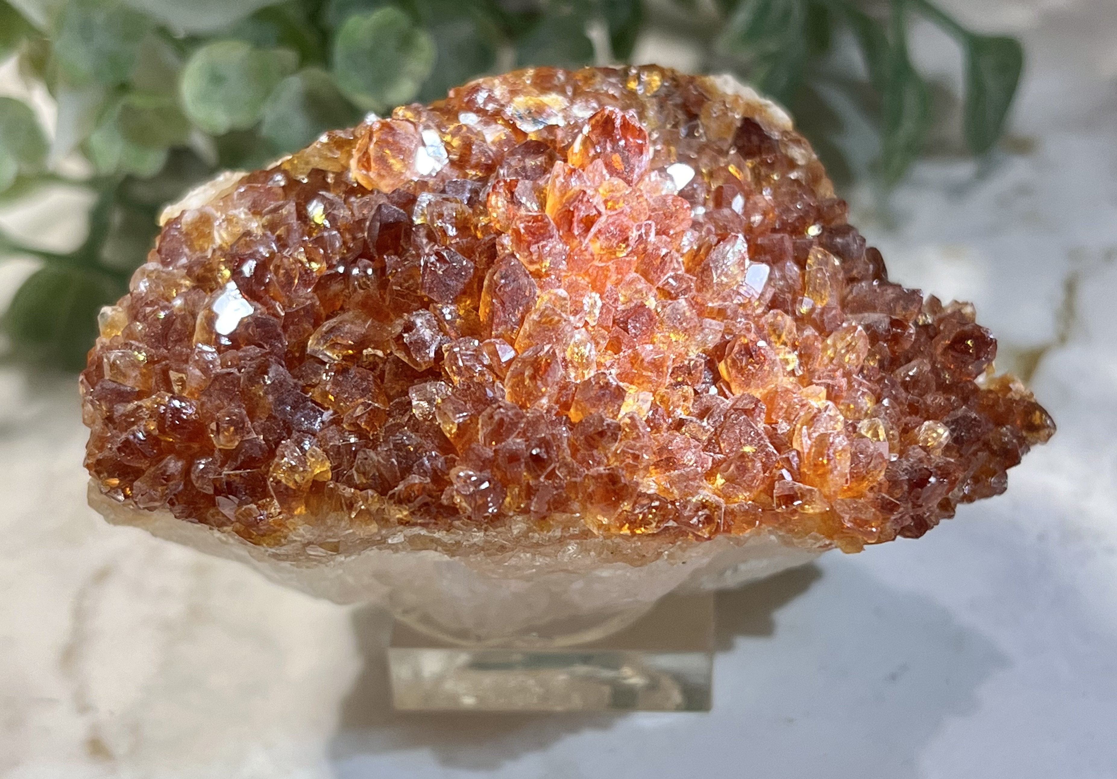 コニャックカラー✴︎ シトリンクォーツ 原石 クラスター 台座付き