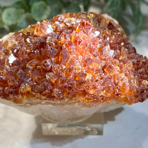 コニャックカラー✴︎ シトリンクォーツ 原石 クラスター 台座付き