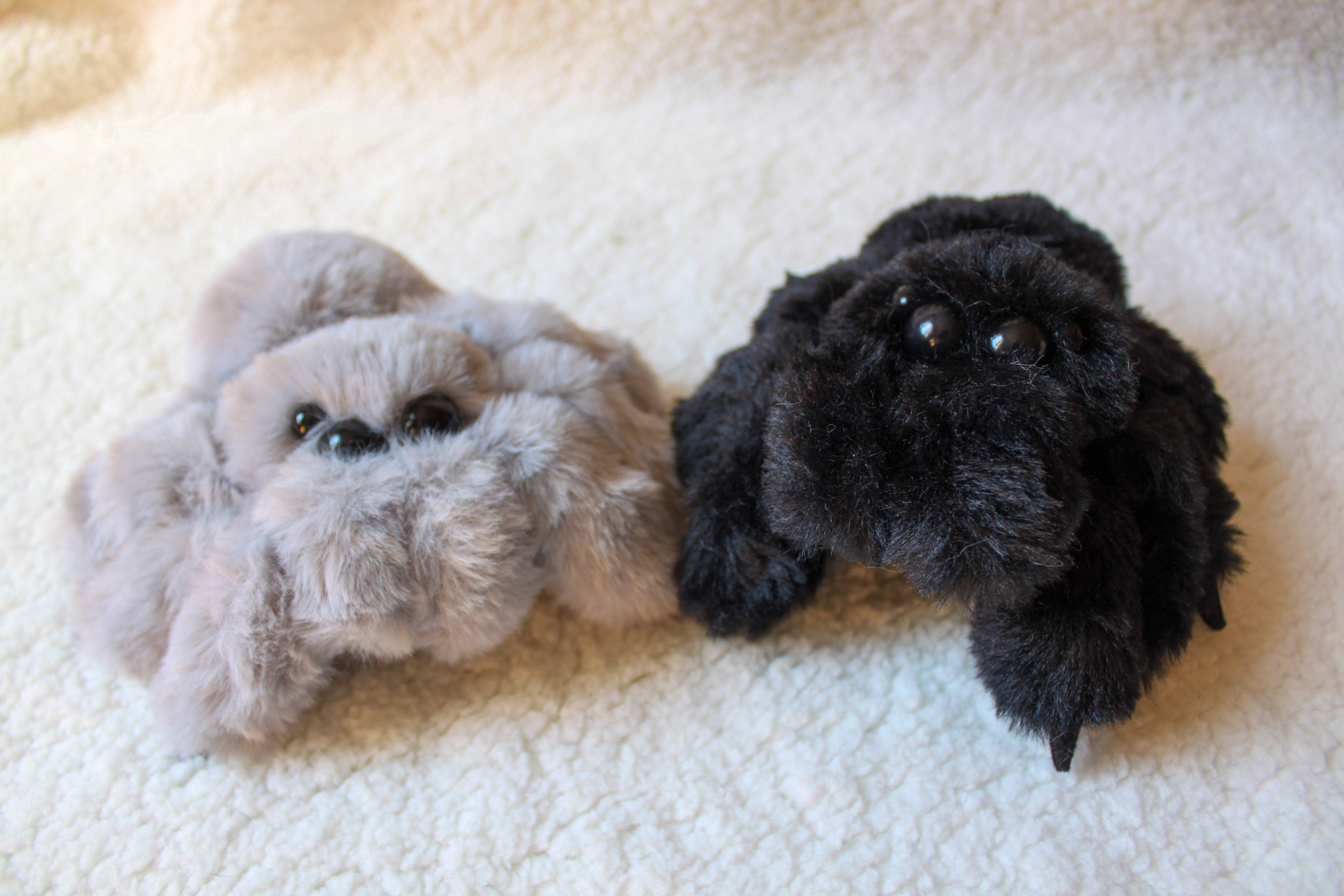 ふわふわハエトリ