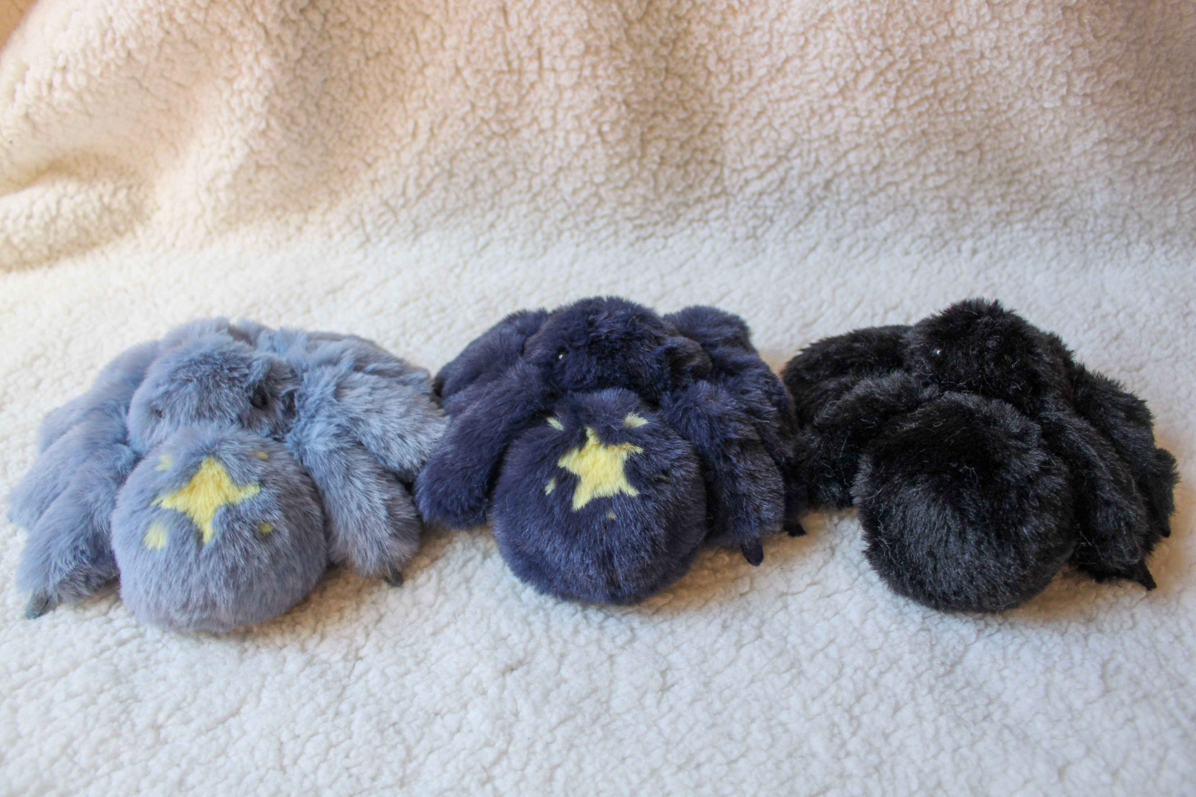 ふわふわハエトリ