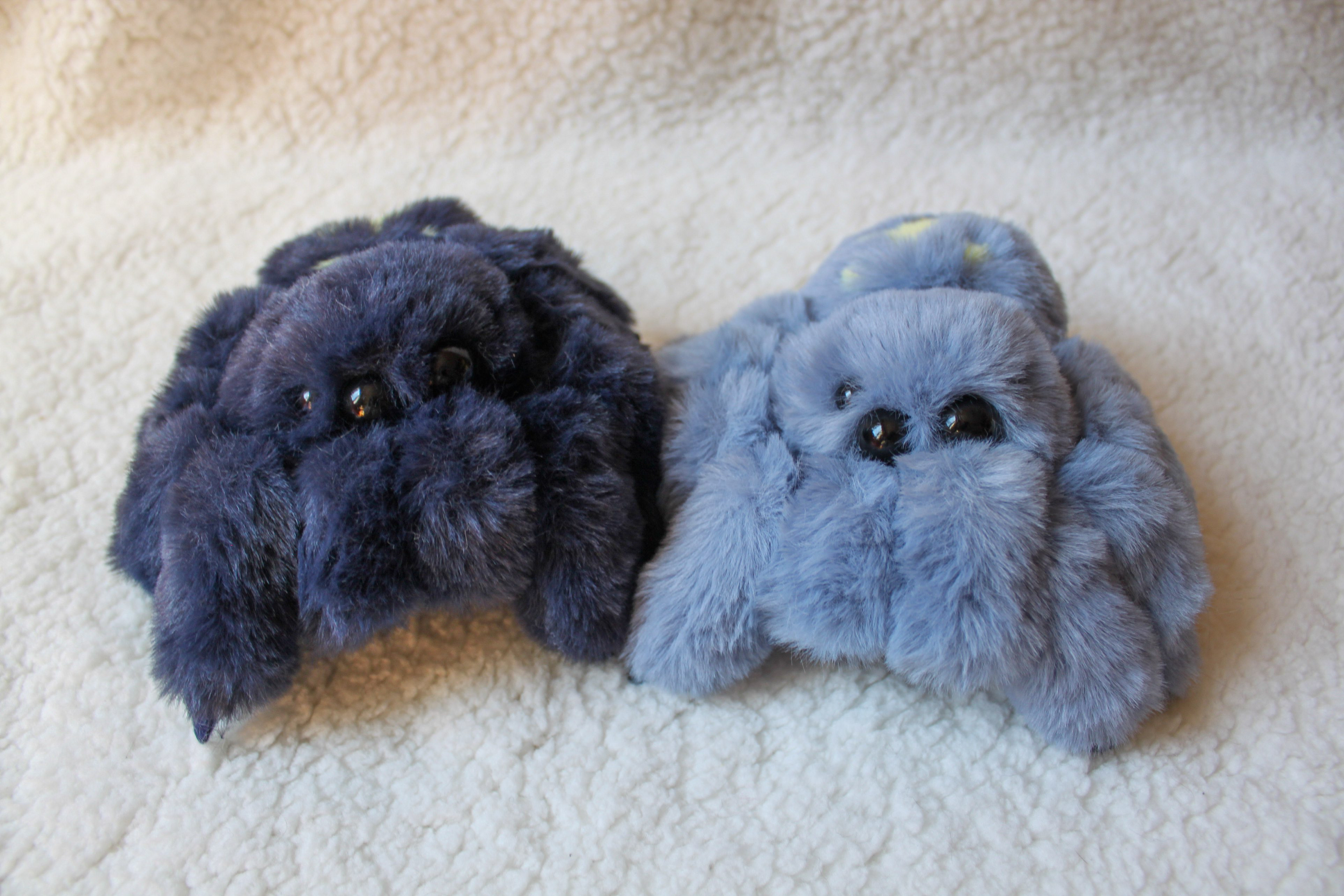 ふわふわハエトリ