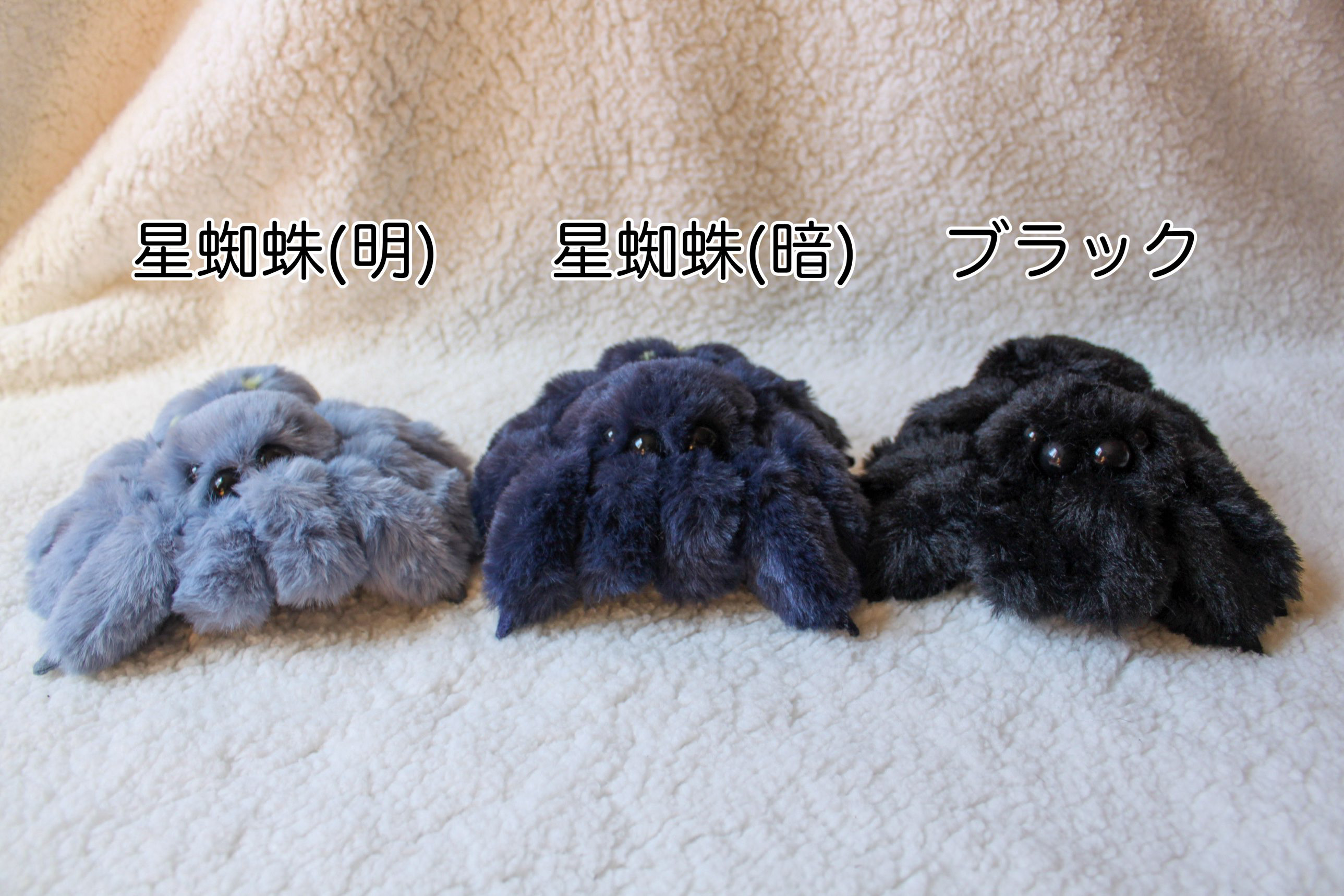 ふわふわハエトリ