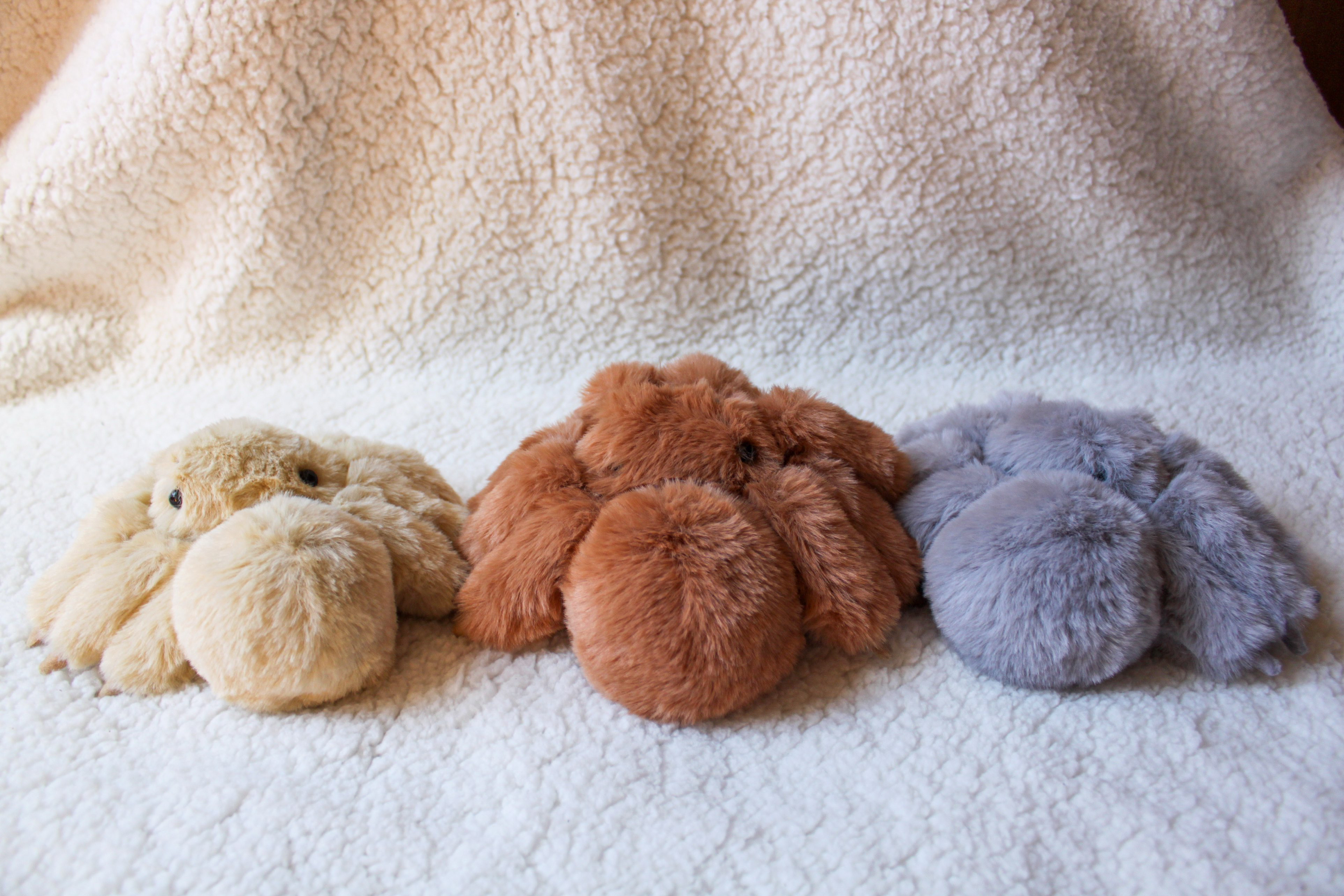 ふわふわハエトリ