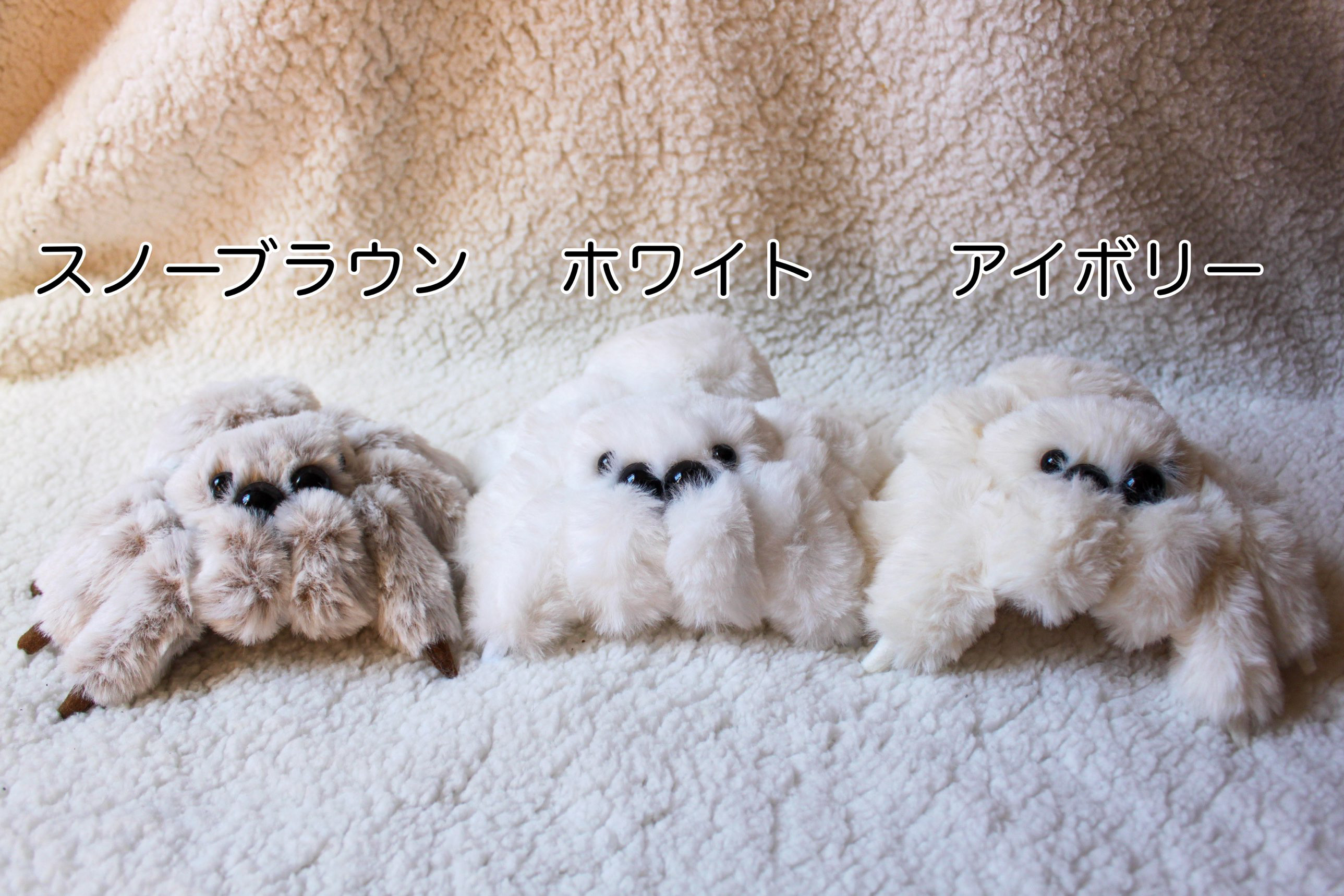 ふわふわハエトリ