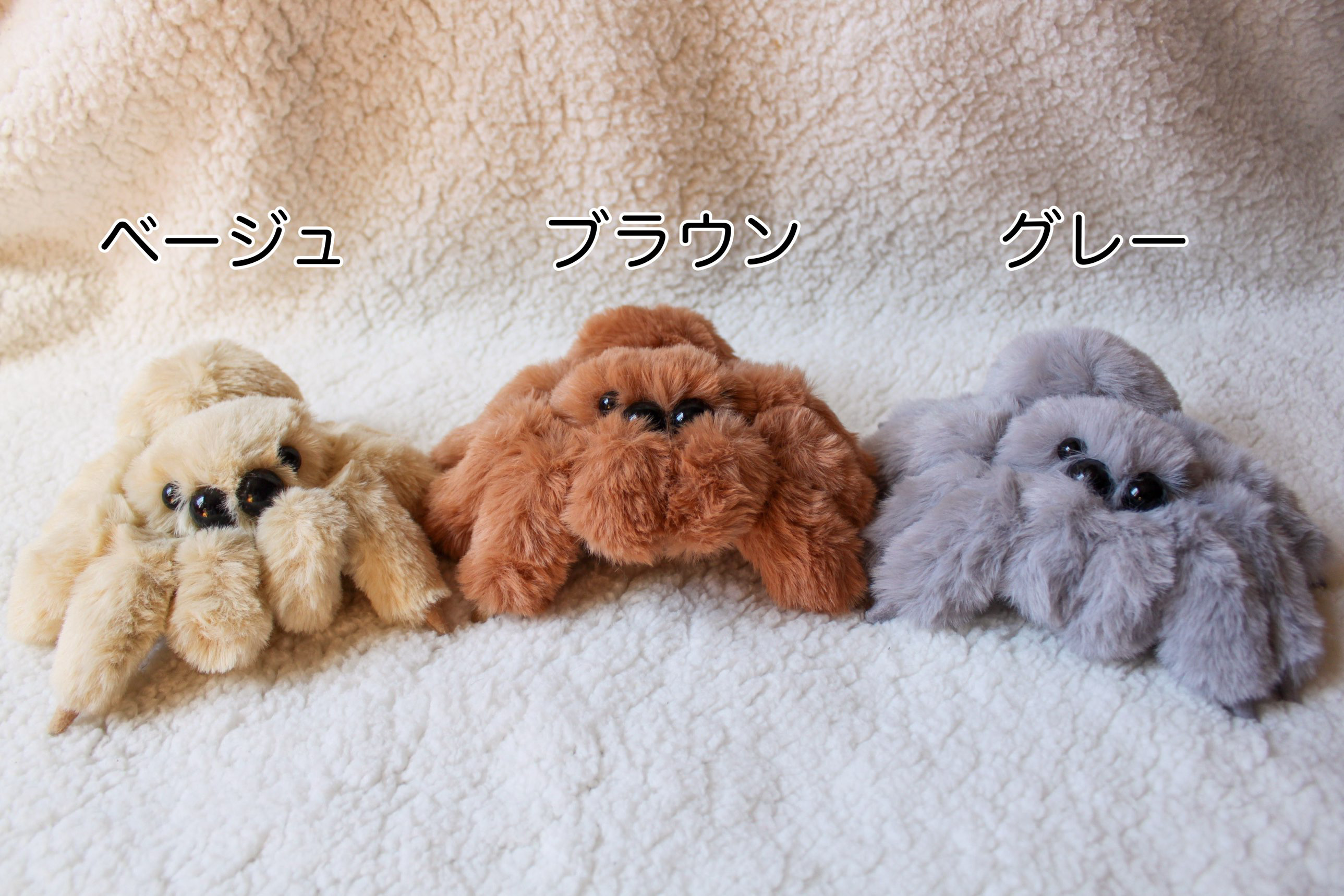 ふわふわハエトリ