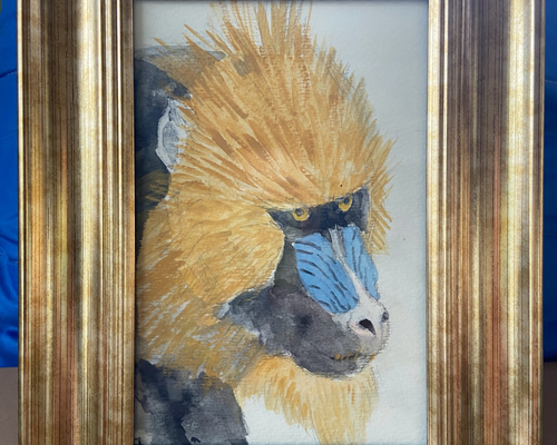 【原画】『ルドリー将軍』（マンドリル　猿　絵画　パステル画） すぐったレディース福袋 原画】『ルドリー将軍』（マンドリル 猿