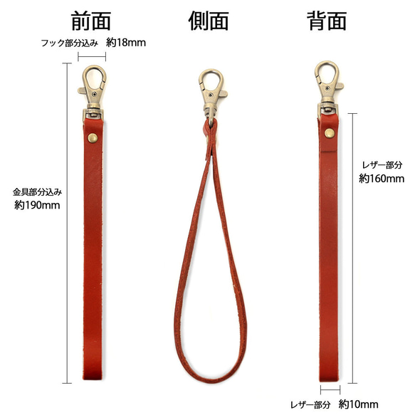  第5張的照片