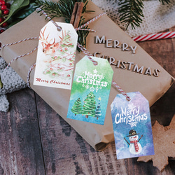 送料無料200円【10枚】クリスマス ギフトタグ ラッピング ポイント消化