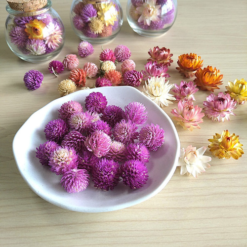 お花の小さな球びん☆千日紅、ヘリクサム ドライフラワー コルク栓