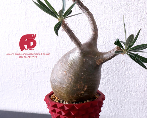 c4a3d3ac3cccf4657c2778d6f719f1