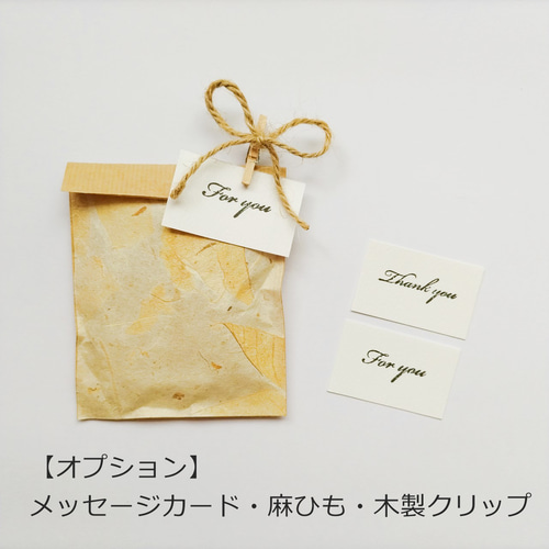 ナチュラルペーパーとクラフト紙の平袋 ミニラッピング袋 6枚セット