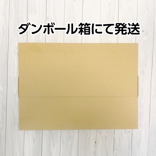一点物/AI美男子】 AIアート イケメン A4ポスター 水着 筋肉 一点物/AI美男子】 AIアート イケメン A4ポスター 水着 筋肉