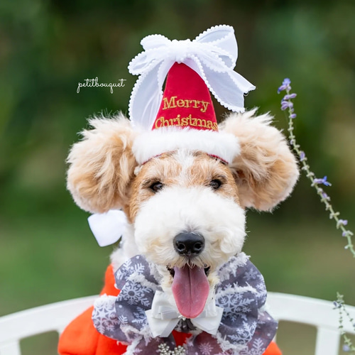クリスマスパーティーハット】犬 ペット わんちゃん わんこ うちのこ