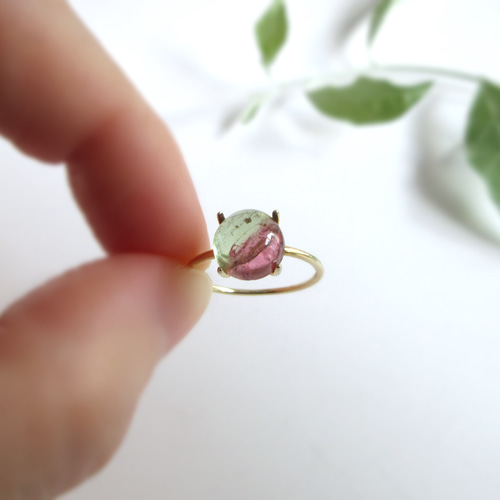 1n指輪　レディース　トルマリン　10月誕生石　バイカラートルマリン天然石　人気 10月の誕生石「トルマリン」のジュエリーがビズーから発売。人気のバイ