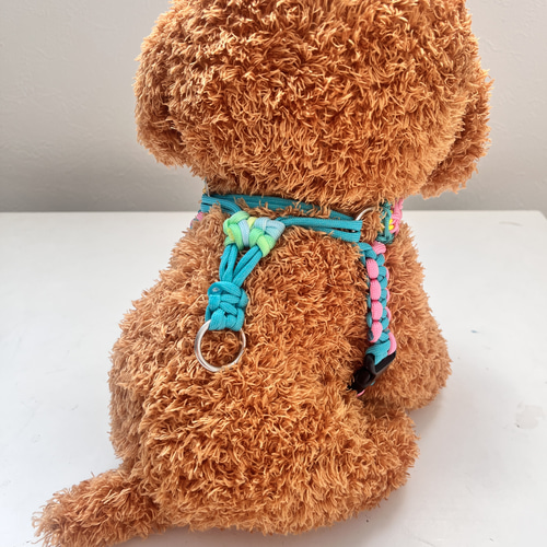 オーダーメイドハーネス パラコードハーネス#1 小型犬〜超大型犬