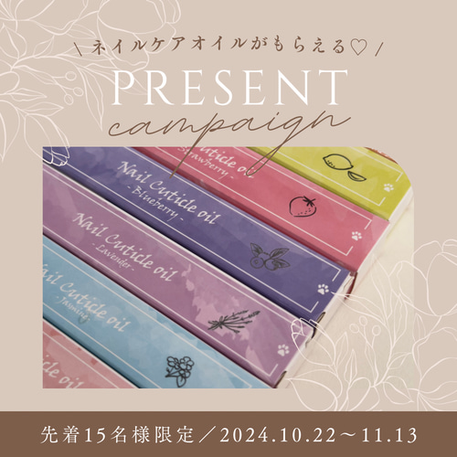 片手のみ／マロンマグ】ネイルチップ ニュアンス マグネット