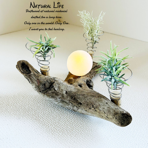 流木⁎✧✧お洒落なエアプランツ ホルダー◇プランター◇ナチュラル