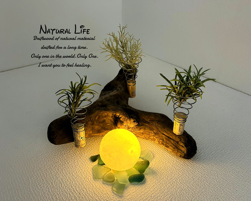 80280cac5425aeb2b14b4f0dd11664