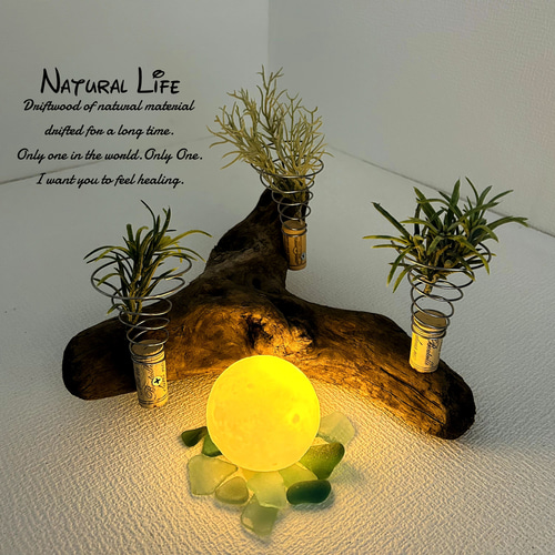 流木⁎✧✧お洒落なエアプランツ ホルダー◇プランター◇ナチュラル