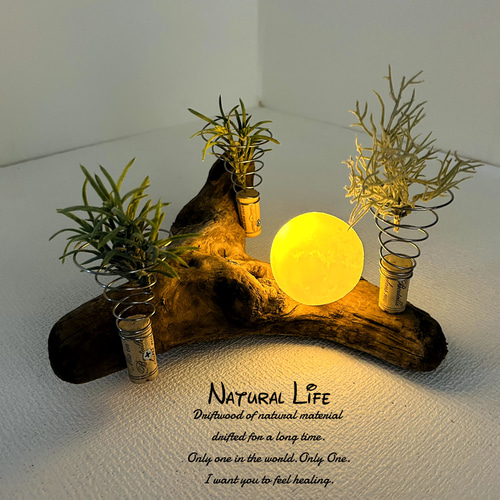 流木⁎✧✧お洒落なエアプランツ ホルダー◇プランター◇ナチュラル