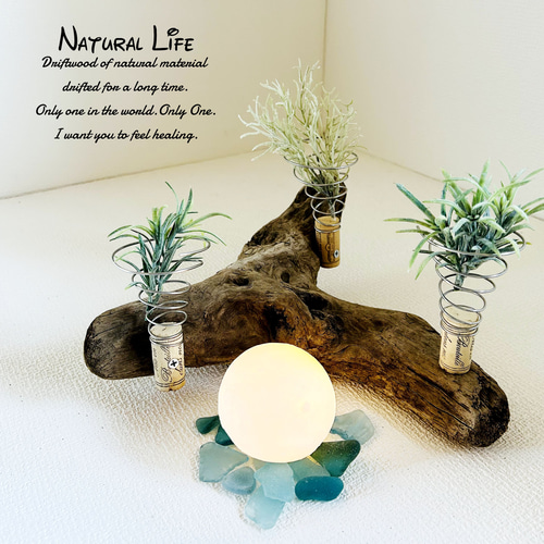 流木⁎✧✧お洒落なエアプランツ ホルダー◇プランター◇ナチュラル