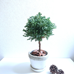 6c055d59f0a57cd3f32a3a1ba3b2ef