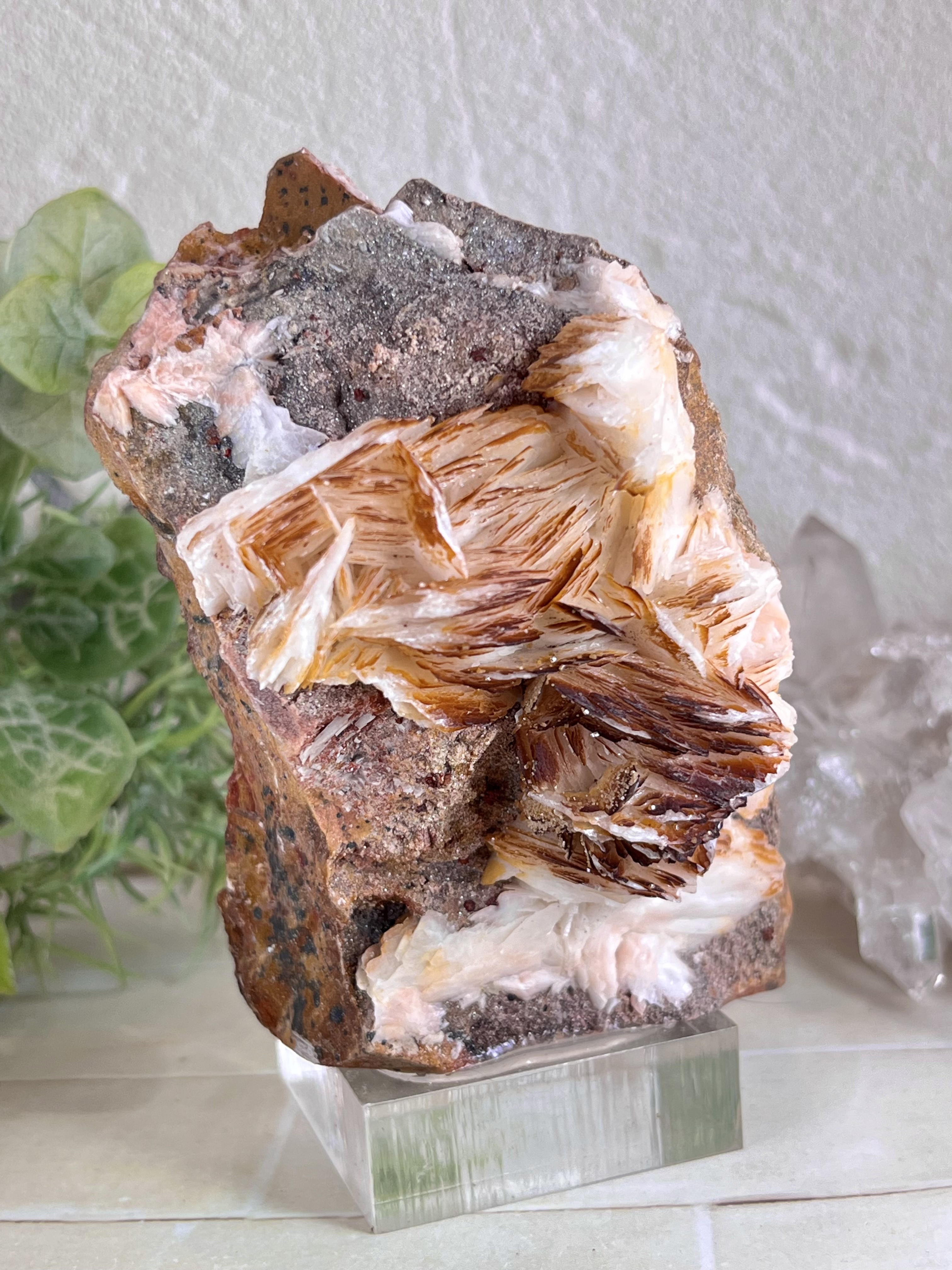 夢と瞑想の石໒꒱ ̖́-  キャラメルバライト　ラフストーン　台座付き　原石