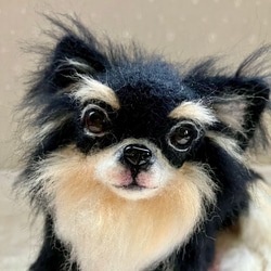 羊毛フェルト チワワ のおすすめ人気通販 検索結果｜Creema