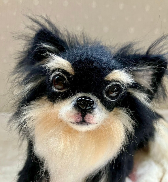 ちびもか 羊毛フェルト 犬 チワワちゃん いちごちゃん (о´∀`о) 骨格もずっしりむちむちチワワちゃん
