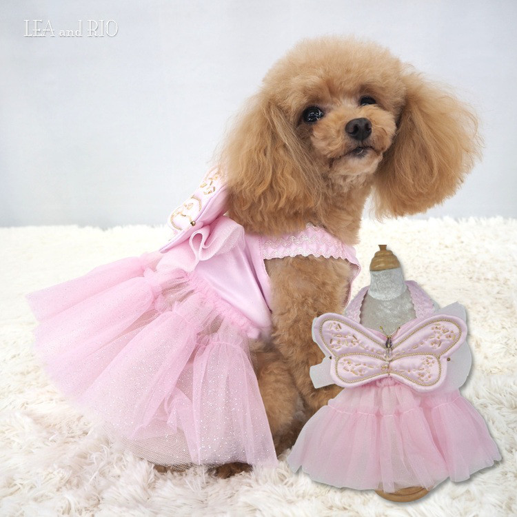 ワンピース ドレス シースルー 透け感 小型犬 犬服 猫 ペット 猫服 P788