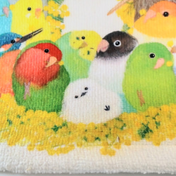 ポストカード3枚 ～インコたちとクリスマスツリー～ クリスマスカード