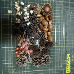 木の実セット きのみセット どんぐり 松ぼっくり 図画工作 リース花材