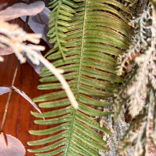 光触媒 人工観葉植物 ウォールグリーン フェイクグリーン クリスマス