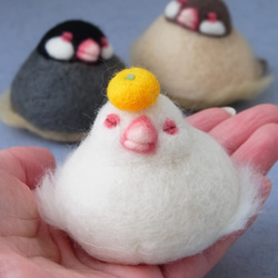 0c9b07e87fc4b35134822a2429253f