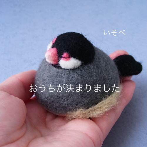 手のひらで溶けるぶんちょおもち 羊毛フェルト 文鳥 餅 鏡餅