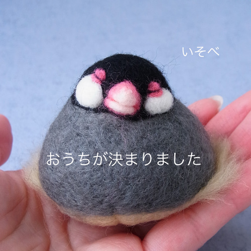 手のひらで溶けるぶんちょおもち 羊毛フェルト 文鳥 餅 鏡餅