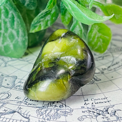 6305d2959a2e510bb446ff0858c60c