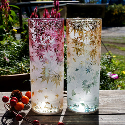 秋麗ロングタンブラー【2色Ver】 1枚目の画像