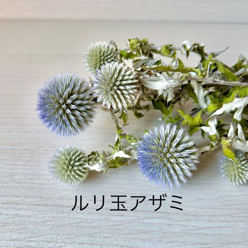 ゆうたんけいたん　お正月スワッグ⑦ ナチュラルスワッグ【ラッピング付き】ピンク系 ブルー系 プチ