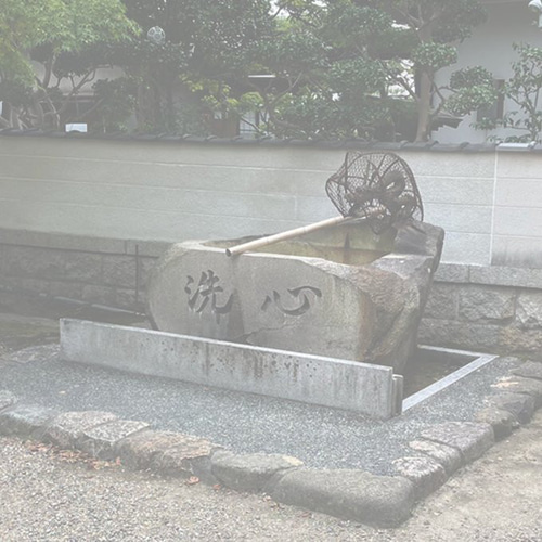 洞察力を高める！金彫皇帝龍 虎目石 ゴールドルチル タイガー