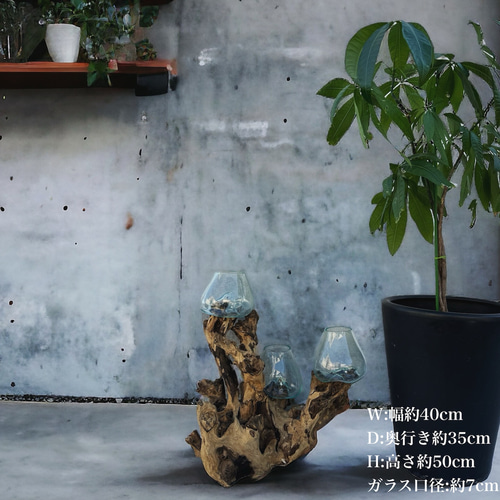 バリ島インテリア雑貨✨wood glass triple heads (現物商品） その他