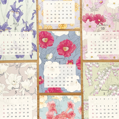 3月末終売】2025 フラワーイラストカレンダー 12ヶ月の花 総柄版