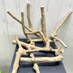 流木インテリア no.44 その他インテリア雑貨 emple 通販 6528062