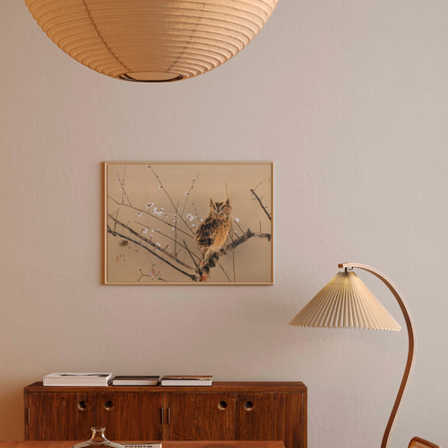 NO.683】梟と梅の花日本画アートポスター☆フクロウ冬お正月和室和