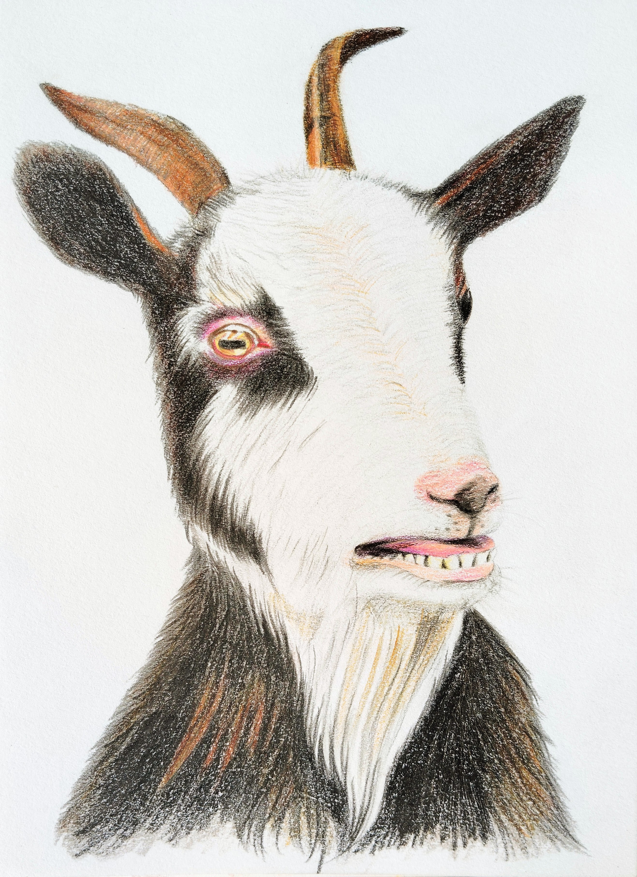 あ〜びっくりした〜