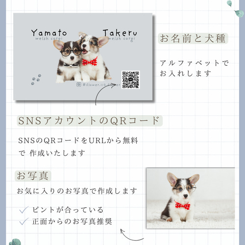うちの子名刺 犬 両面100枚 ペット名刺 セミオーダー名刺 オフ会 2 