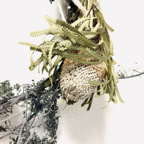 ivorynoon 大きな クリスマス リース 玄関 プロテア アカシア パンパス