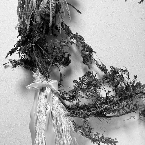 ivorynoon 大きな クリスマス リース 玄関 プロテア アカシア パンパス