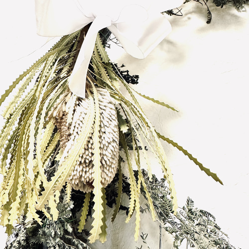 ivorynoon 大きな クリスマス リース 玄関 プロテア アカシア パンパス