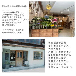  第17張的照片